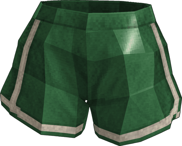 Athletic Shorts