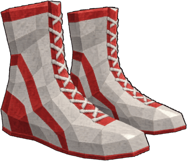 Boxing Shoes