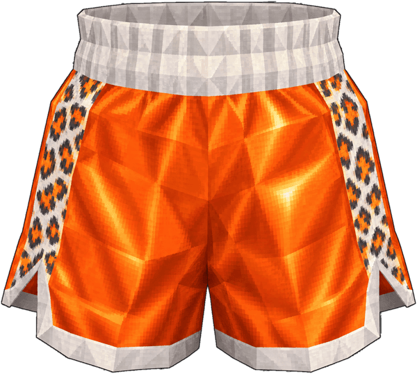 Boxing Shorts