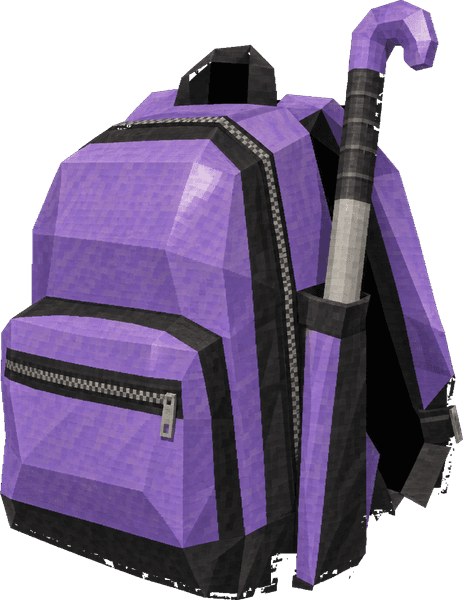 Equipment Bag