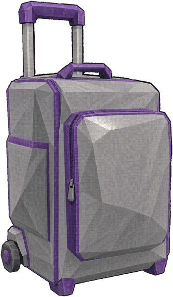 Skate Bag