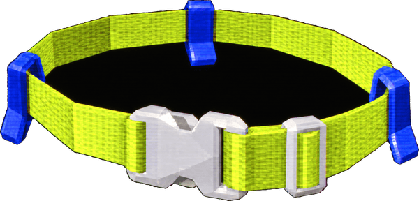 Flag Belt