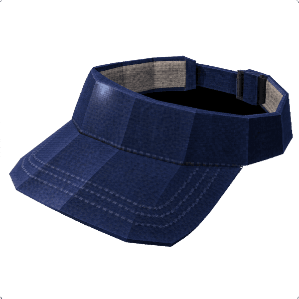 Sun Visor