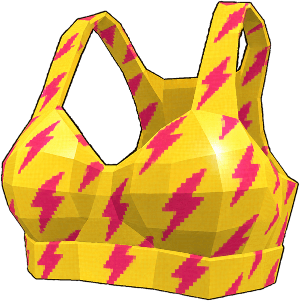 Sports Bra