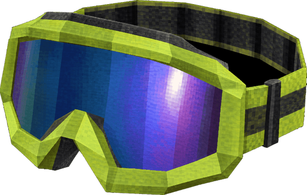 Goggles