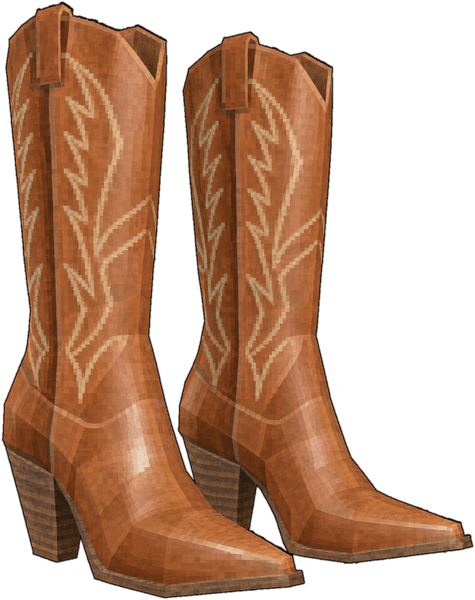 Western Boots