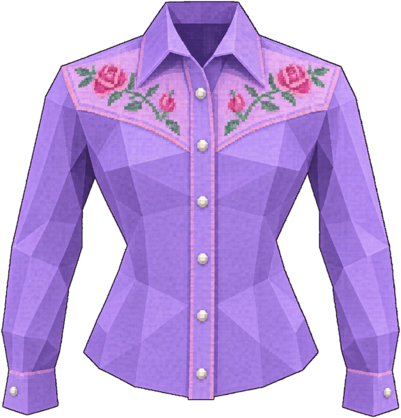 Western Shirt