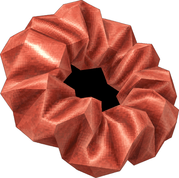 Scrunchie