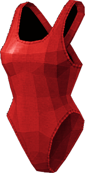 Bathing Suit