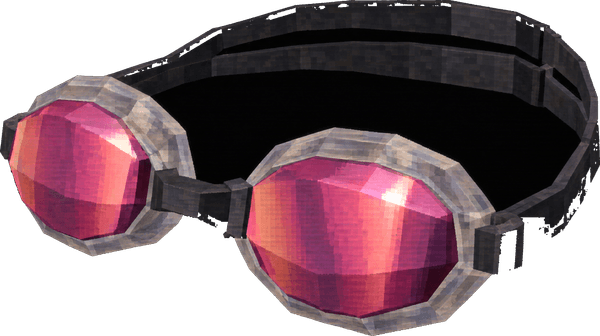 Goggles