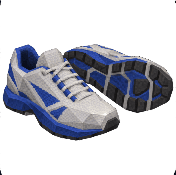 Training Shoes