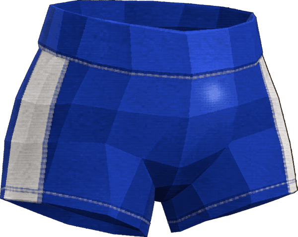 Spandex Shorts