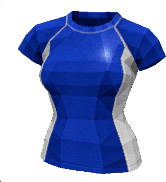 Spandex Top