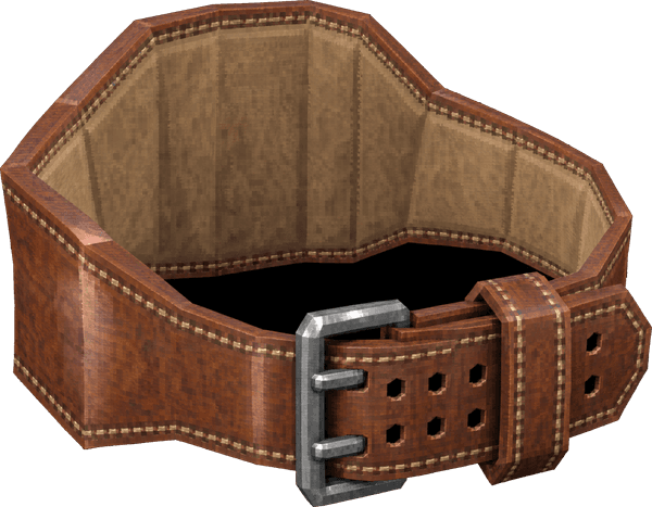 Lifting Belt