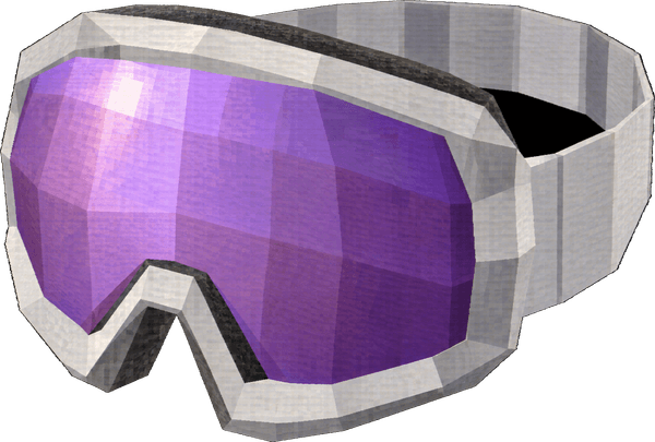 Goggles