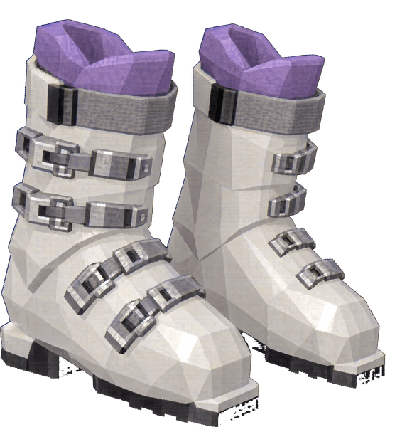 Ski Boots