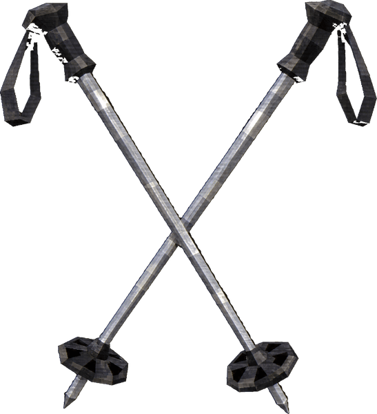 Ski Poles