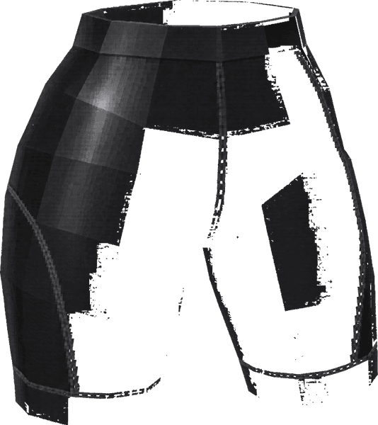 Compression Shorts