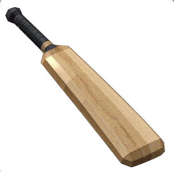 Cricket Bat