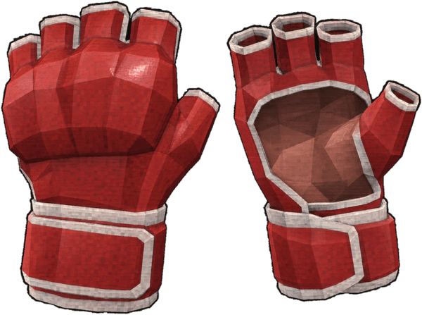 MMA Gloves