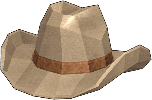 Cowboy Hat