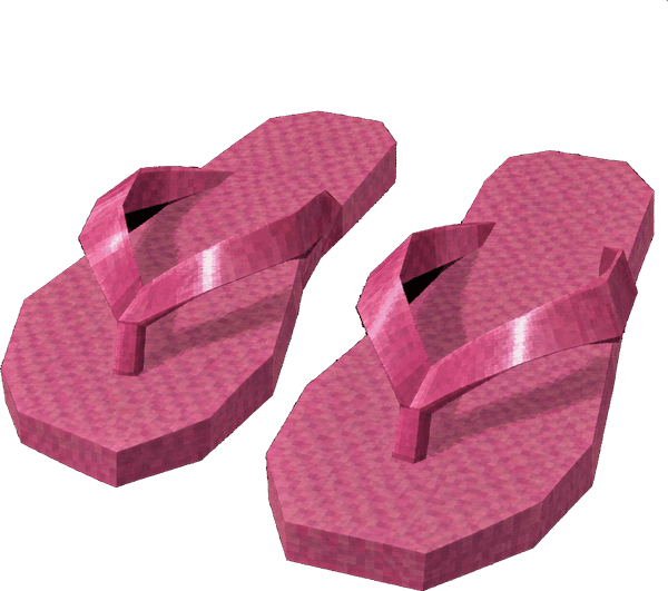 Flip Flops