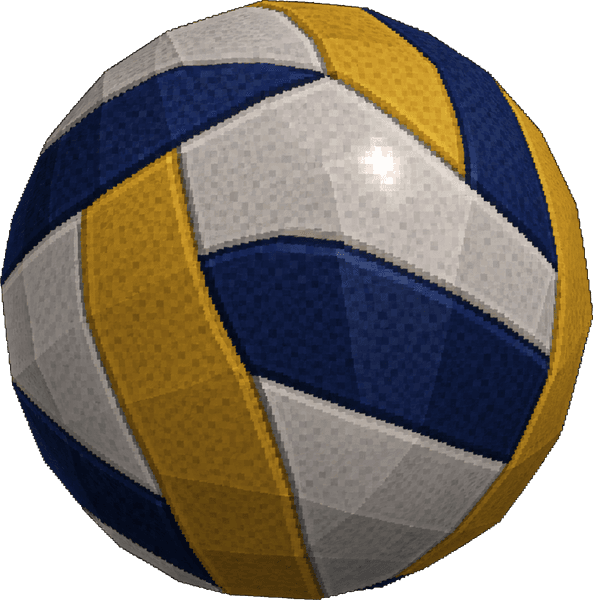 NFHS Volleyball