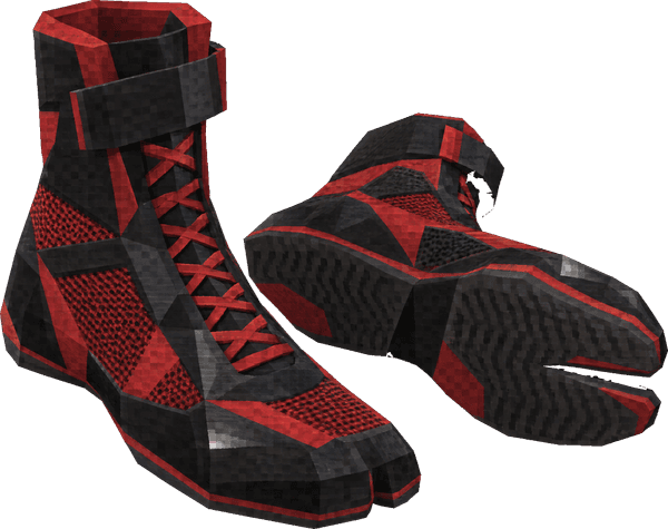 Wrestling Shoes